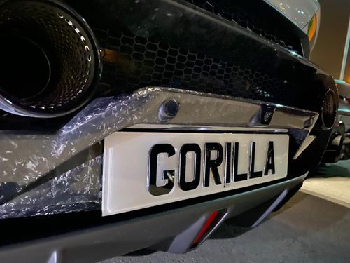 Gorilla Plate Photo